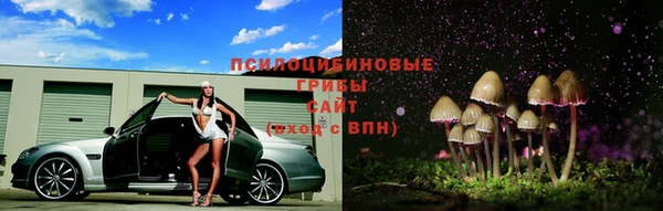 прущие грибы Баксан
