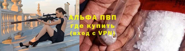 прущие грибы Баксан