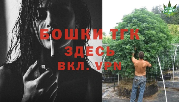 прущие грибы Баксан