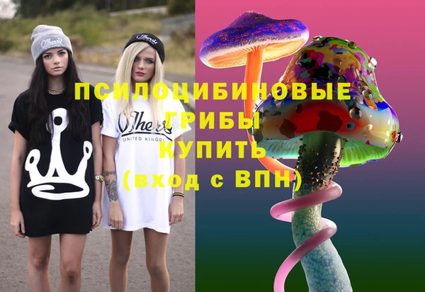 прущие грибы Баксан