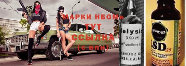 прущие грибы Баксан
