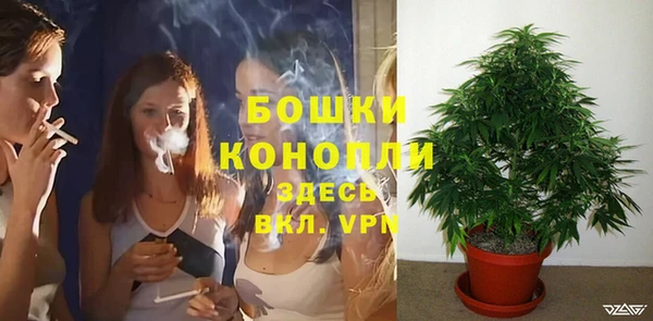 прущие грибы Баксан