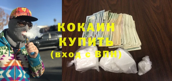 прущие грибы Баксан