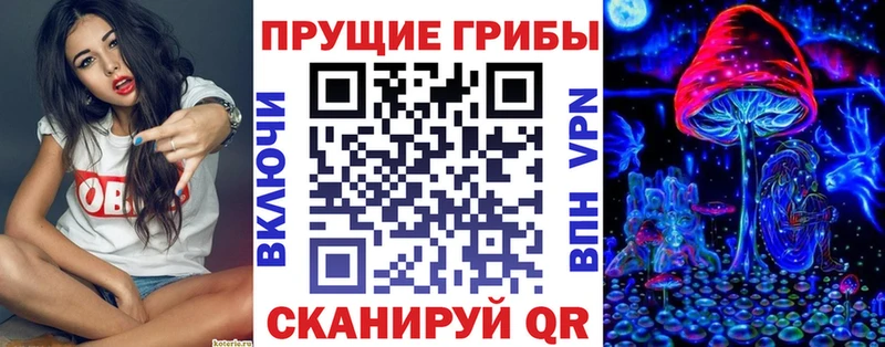 продажа наркотиков  Белый  Галлюциногенные грибы прущие грибы 